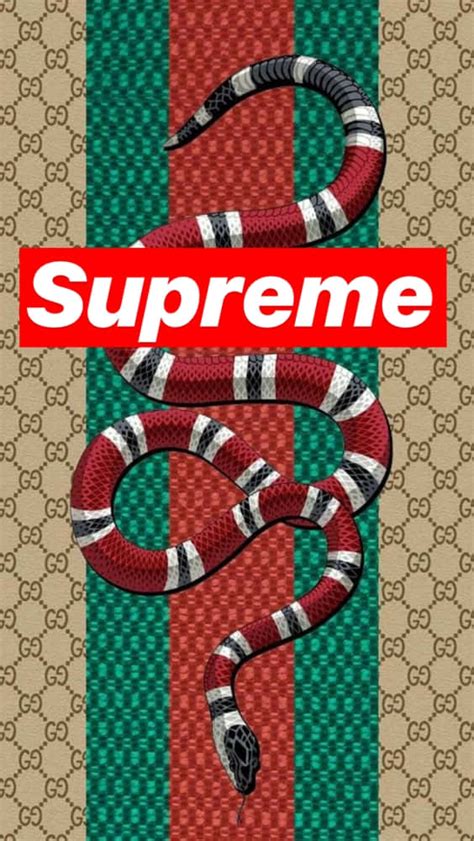 gucci supreme logo